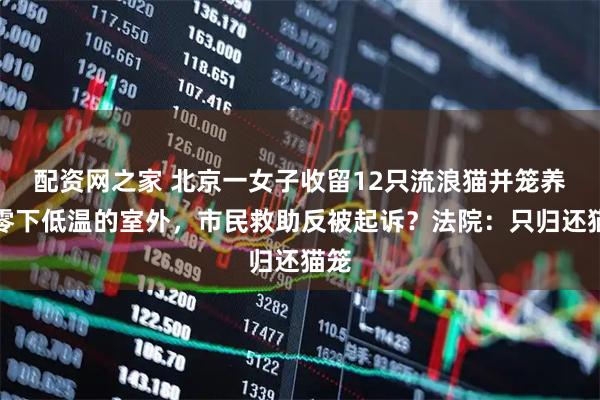配资网之家 北京一女子收留12只流浪猫并笼养在零下低温的室外，市民救助反被起诉？法院：只归还猫笼
